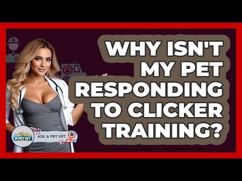 Why Isn't My Pet Responding To Clicker Training? - Ask A Pet Vet