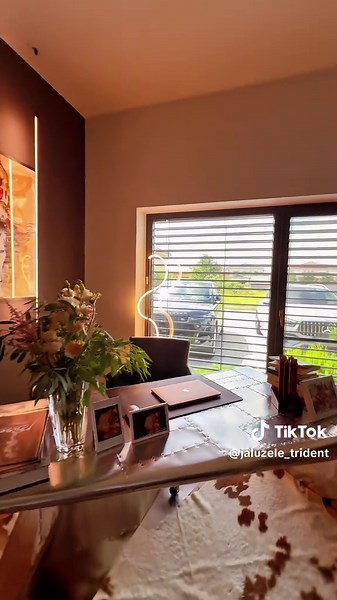 Lux și confort cu jaluzele exterioare Trident