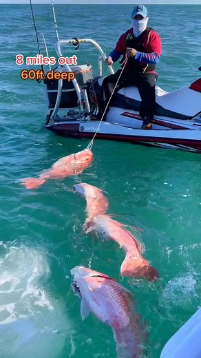 139K views · 2.7K reactions | Jet ski charter? #jetskifishing #outdoor #angler #ca #new #fishtok #fish #fishing #fypp #foryou #bestseatinthehouse #fisherman #ocean #fyp #ROMWEnextgen #jetski | JimmyPhan | Facebook