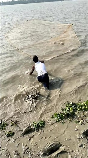 Big fish catching by castnet fishing #castnetfishing #foryou