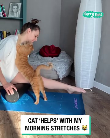 All the critters come out to play! 🪲🥒 | Furry Tails