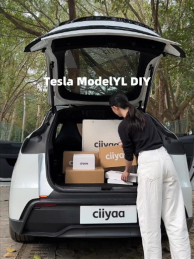 Tesla Model Y L DIY: Model 3 Parts & Cold Weather Tips