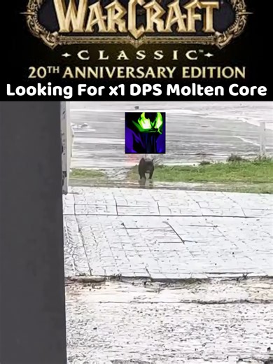 1x DPS Molten Core Strategy for WoW Classic