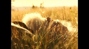 The Sound and the Silence, Part 1