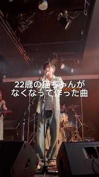 愛猫を亡くして作った歌、聴いてほしい #猫の歌 #ペットロス #泣ける歌 #弾き語り #路上ライブ #オリジナル曲 #音楽好きと繋がりたい #猫好きさんと繋がりたい #優しい時間