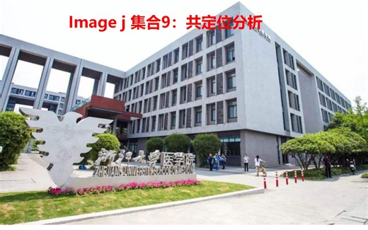 Image j 集合-9.共定位分析