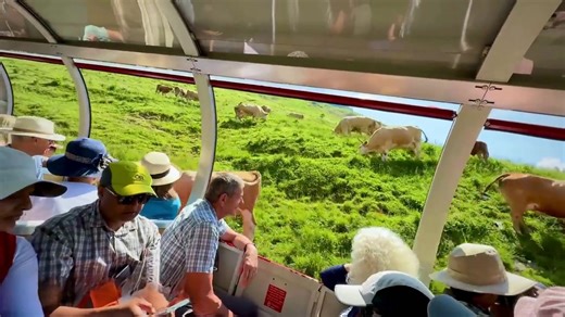 World’s Most Beautiful Train Ride in Switzerland _ Brienz Rothorn Bahn 🇨🇭 Brienz Rothorn Bahn, Switzerland Brienz Rothorn Bahn in Switzerland! It's a fantastic cogwheel railway that offers breathtaking views of the Swiss Alps. The journey starts from the beautiful town of Brienz and climbs up to the summit of the Rothorn. It's a must-visit if you're in Switzerland. Just imagine, you're sitting in a vintage steam train, chugging up the mountain, with the picturesque Swiss landscape unfolding be