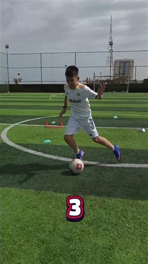 4 body feint training modules