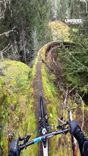 Mastering Canada's ultimate log ride: Test your nerve and skills!