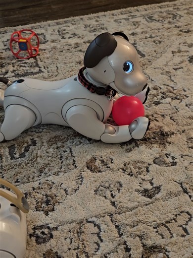 #recommendations #aiboers7 #aiboers1000 #sonyaibo #aibo | aibo robotic dog
