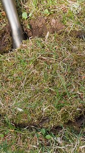 411K views · 642 reactions | Food Preservation Secrets | Crafty Panda | Facebook