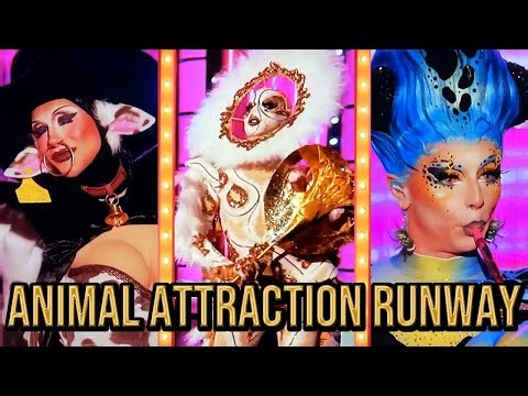 Rupaul's Drag Race Season 18 Episode 3 Runway Reviewed! Animal Attraction! | Reality Reflex
