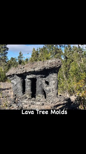 2.2K views · 80 reactions | Lava Tree Molds. Created when fissures of...
