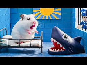 Hamster Maze Tutorial: Building a Giant Cardboard Labyrinth