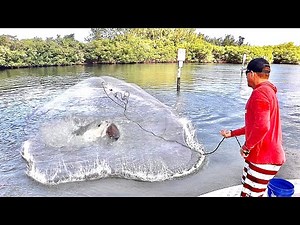 Once in a LIFETIME catch in a HUGE NET!! (CATCH CLEAN & COOK)