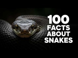 100 Facts About Snakes That Will Change How You See Them
