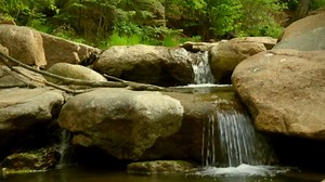 Cascading Mountain Stream | FREE NATURE STOCK FOOTAGE