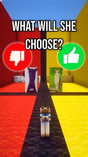 Meowl Or Larry? She Chose THAT... #minecraft