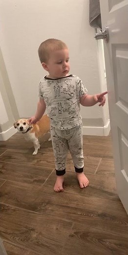 Kid Complains About Dog Peeing in His Room - 1276365