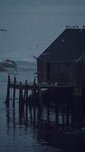 Amidst the crashing waves, swirling winds, and soaring seagulls, even the darkest clouds of a moody maritime day carry a silver lining of tranquility. 🌊🌧️✨ 📍 Peggy's Cove, Nova Scotia 📷 @jakesescapes | https://bit.ly/4a0Ibs5 #DiscoverHalifax | Discover Halifax