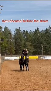 4.5K views · 26K reactions | Doing shows in Grass Valley California at the draft horse classic this weekend, come check us out #drafthorse #horses #romanriding #stunts #percheron #California | Gladius the Show | Facebook