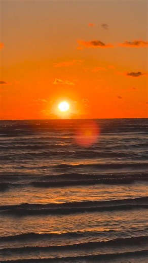 #Honeymoon Island State Park#sunset | Evangeline Bedoya Clarke