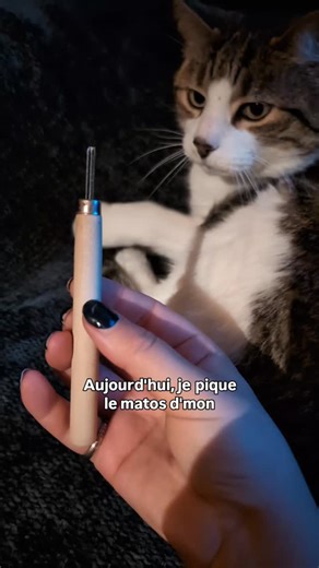 Le Laboratoire du Gobe Cerise 🐦‍⬛🧪🍒 | Je pique les gouges de sculpture sur bois de mon chéri pour mes Linogravures ! ➡️ Que me conseillez-vous pour mes nouvelles gouges ? Des... | Instagram