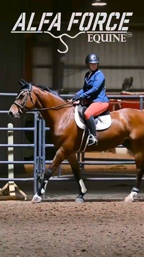 18 years young and looking AMAZING! 🔥 Victoria’s gelding is loving Alfa Force, and we’re loving his transformation! 🐴✨ She said everyone around her was feeding Alfa Force, so she had to see what the hype was all about… and now she’s a believer! 🙌❤️ #18YearsYoung #HorseGlowUp #ArenaReady #FeedWhatMatters #HorseHealthMatters #EquestrianLife #BarnFavorites #HypeWorthyFeed #ShinyHorseGoals #StrongFromTheInsideOut #FueledByAlfaForce #ForageBasedFuel #HunterJumperLife #ThrivingAt18 #PerformanceNutr