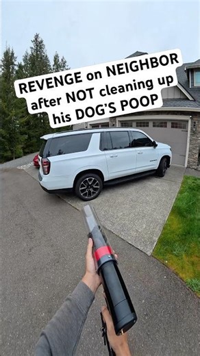 Learn how to clean up your dog’s mess!
