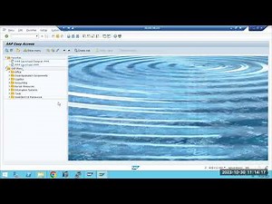 SAP - Upgrade prerequisites