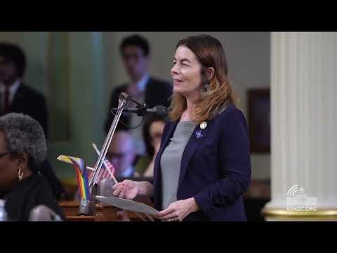 Asm. Addis Presents SJR 9 on Assembly Floor, Standing With California’s Immigrant Families