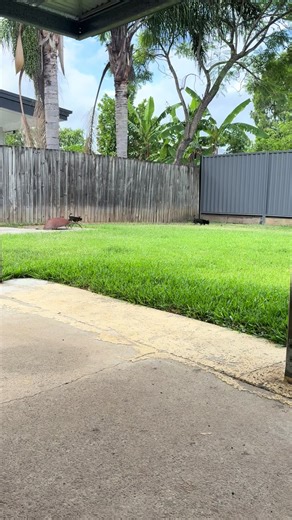 Sassy Sundays: Embracing Country Sass