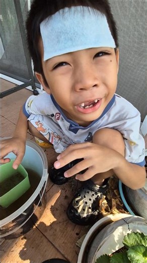 🍓A little bit of a baby strawberry🤣 #NongPhop #pobfamily #familyvlog