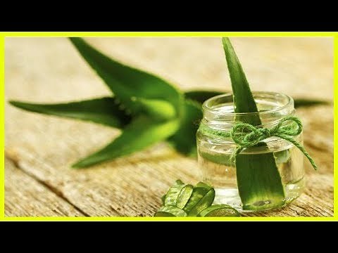 家でアロエを育てましょう！