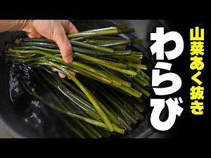 生わらびのあく抜きと長期保存法｜重曹処理と塩漬けの完全手順