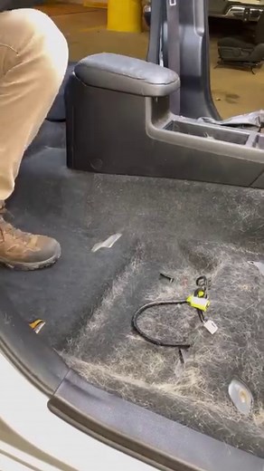 119K views · 1.2K reactions | How does a car get THIS hairy?! #wddetailing #detailing #carwash #carcleaning #satisfying #oddlysatisfying #satisfyingvideos #asmr #asmrvideo #steamcleaning #carseat #cardetailing #detailingcars #valeting #carvaleting #detailingworld #detailingaddicts #detailingboost #carwashing #interiordetailing #carwashgram | WD Detailing | Facebook