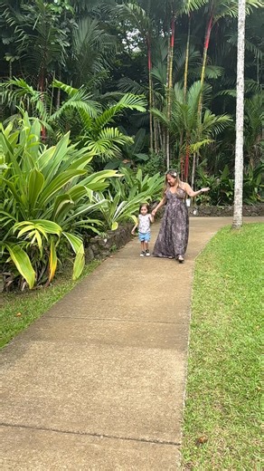 22 reactions · 7 comments | Hawaiian rain is beautiful | The Maya Luna & Dada | Facebook