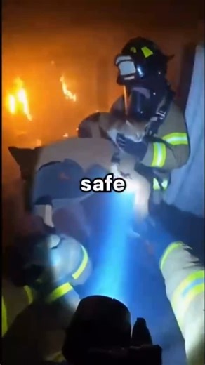 Humanity Still Exists on Instagram: "Firefighters are emergency response professionals trained to operate in environments that are immediately dangerous to life and health. Their primary role is to protect people, property, and infrastructure during fires, accidents, and other hazardous situations. Their work begins long before an emergency happens. Firefighters train continuously in fire behavior, building construction, search-and-rescue techniques, hazardous materials handling, medical respons