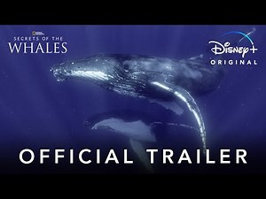 SECRETS OF THE WHALES: Interview with National Geographic Photographer and Explorer Brian Skerry and Filmmaker-Producer Brian Armstrong on their Magnificent New Disney+ Docuseries Premiering on Earth Day