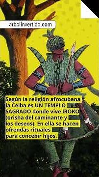 CEIBA: El Árbol Sagrado de Cuba (Mitos, Leyendas y Rituales)