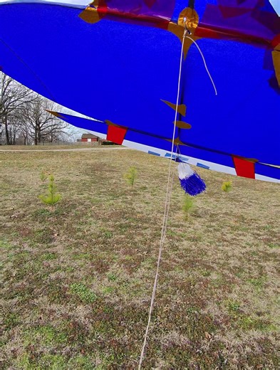 #kite #kites #kiteflying | kite