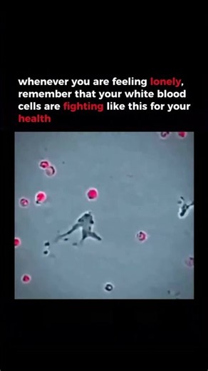 1950s Footage Shows Your Immune System In Action...