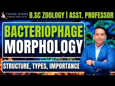 Bacteriophages External Morphology | Structure & Type
