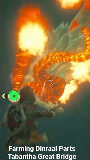 Zelda Farming Dinraal