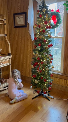 Zoey and grandma decorating tree, rob and I making pies | David Lasley
