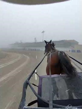 Commentary--Jailbird Jog training mile March 6th 2026