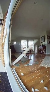 This is the origin story of the world's most chaotic superhero The Juggernaut 💪🐕 #superhero #fail