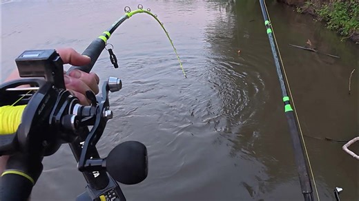 All night river fishing: The best catfish rig