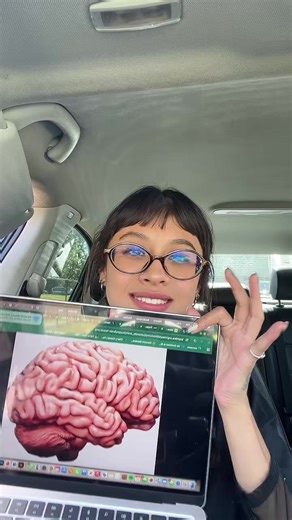 Uso gratuito y su importancia en la comunidad