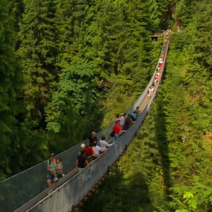 This swaying suspension bridge lets you walk among the treetops. | Insider Travel